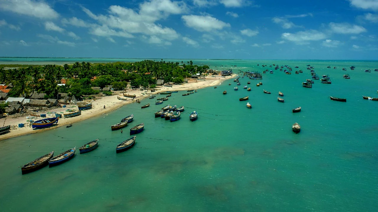The Gulf of Mannar Marine National Park